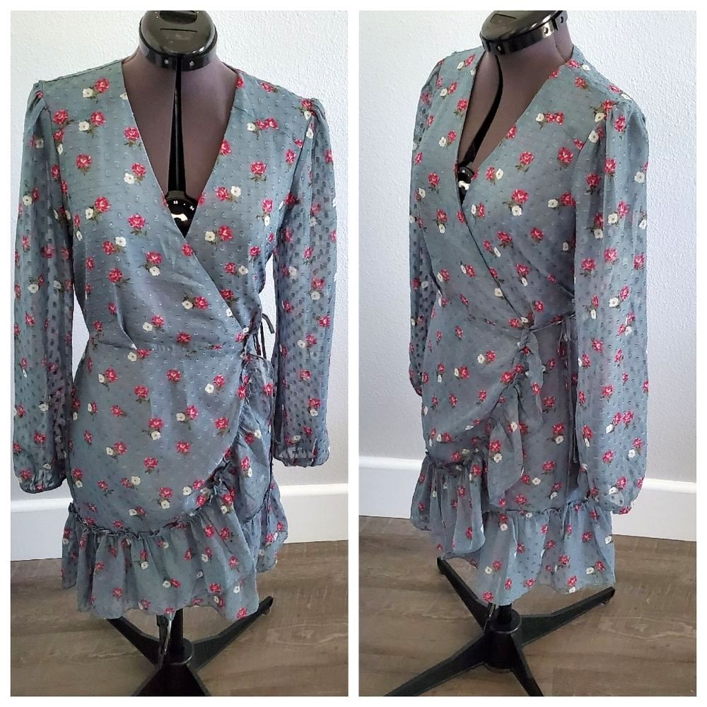 WAYF Women’s Wrap Dress XS Blue Pink Floral Long Sleeve Sheer Romantic